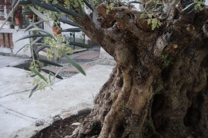 1 2014-05-07 17.21.09