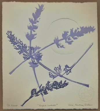 Martina Gracin_English lavender
